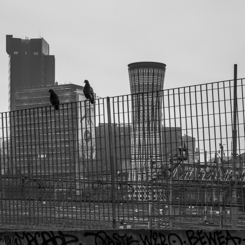 Sguardo Urbano - Milano