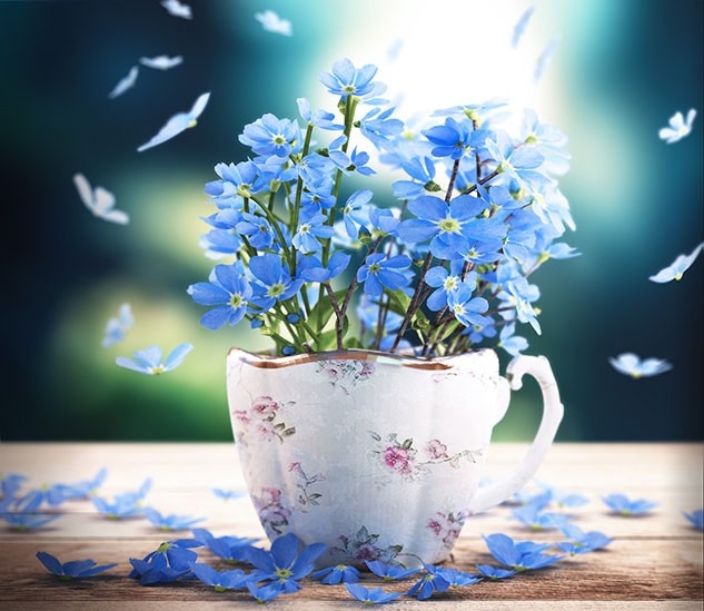ARIA DI PRIMAVERA