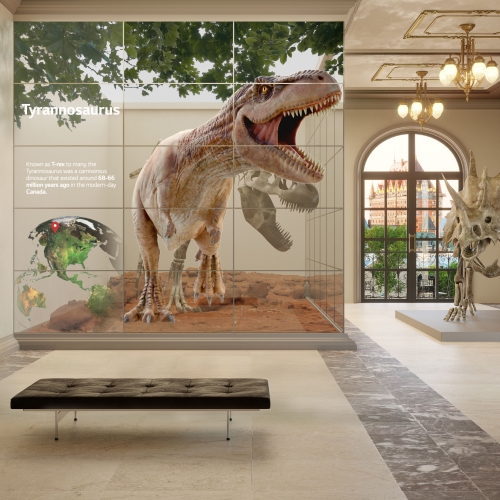 LG Oled Space IX