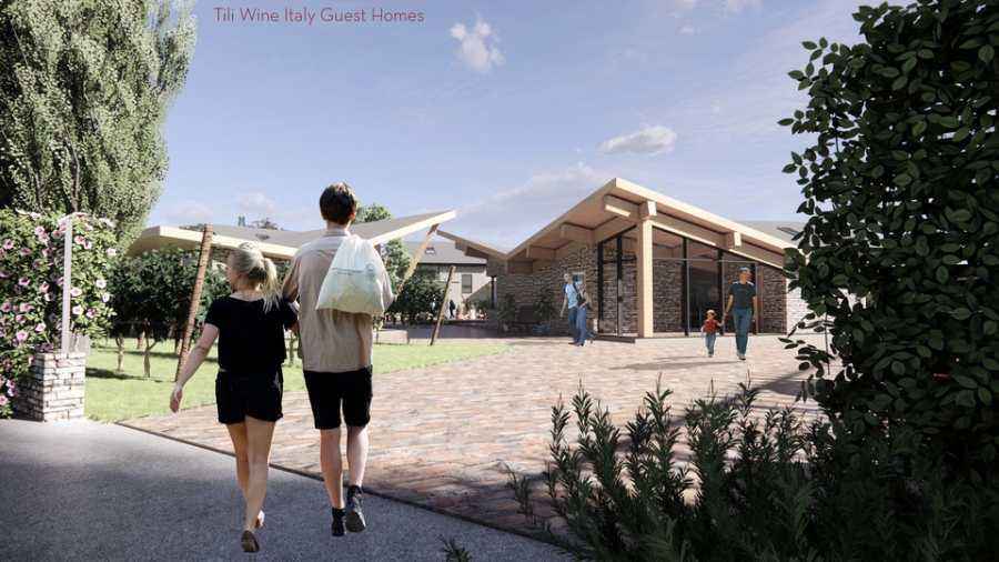TILI WINE CONSTEST DESIGN