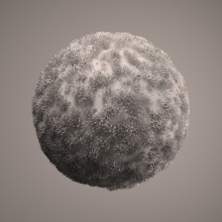 Grass Corona Renderer