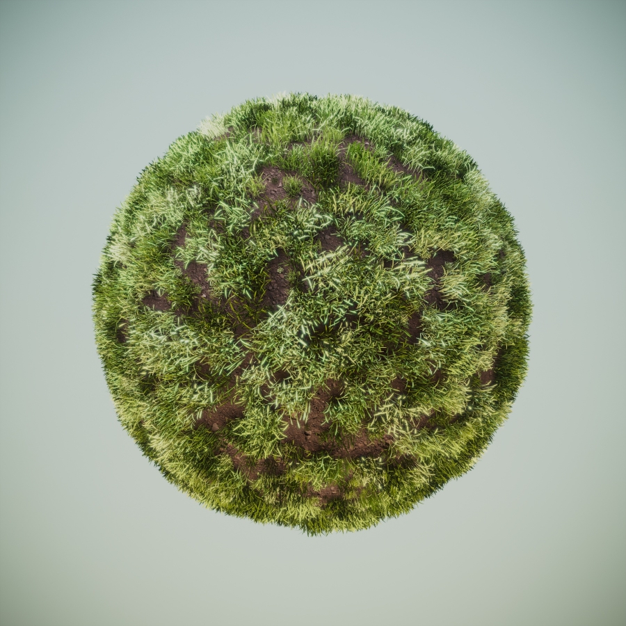 Grass Corona Renderer