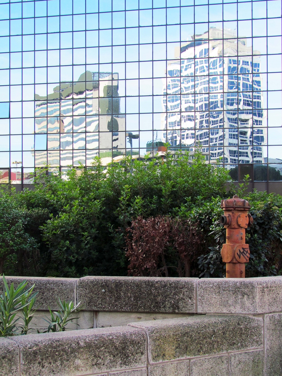 COMPOSIZIONE FOTOGRAFICA