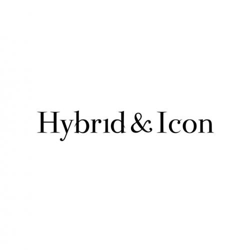 Hybrid & Icon