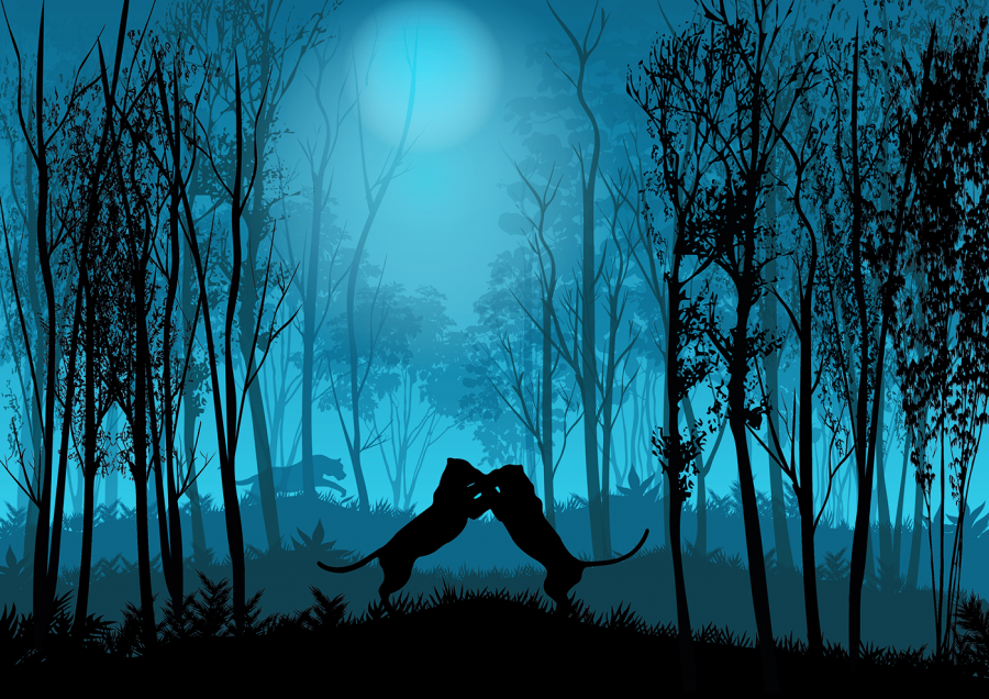 Poster design - Jungle battle 